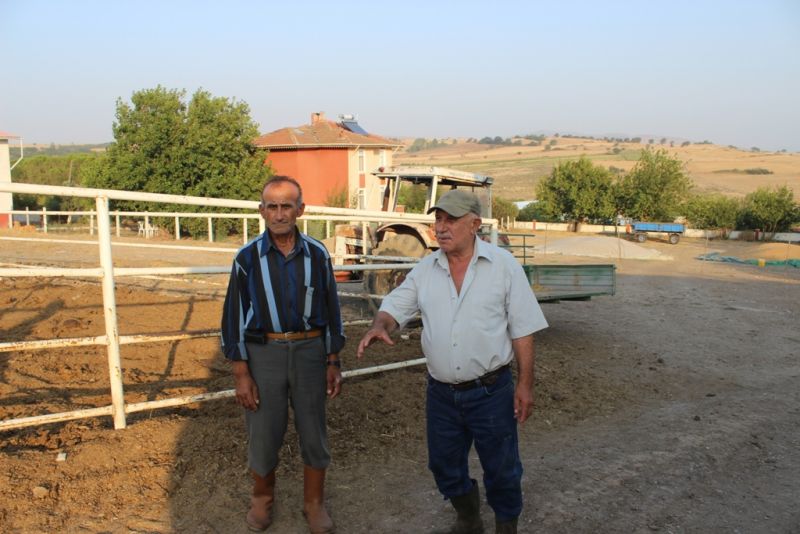 Mustafa Dereli Emekli Öğretmenin çiftliği Ayvalıdere Gönen Balıkesir